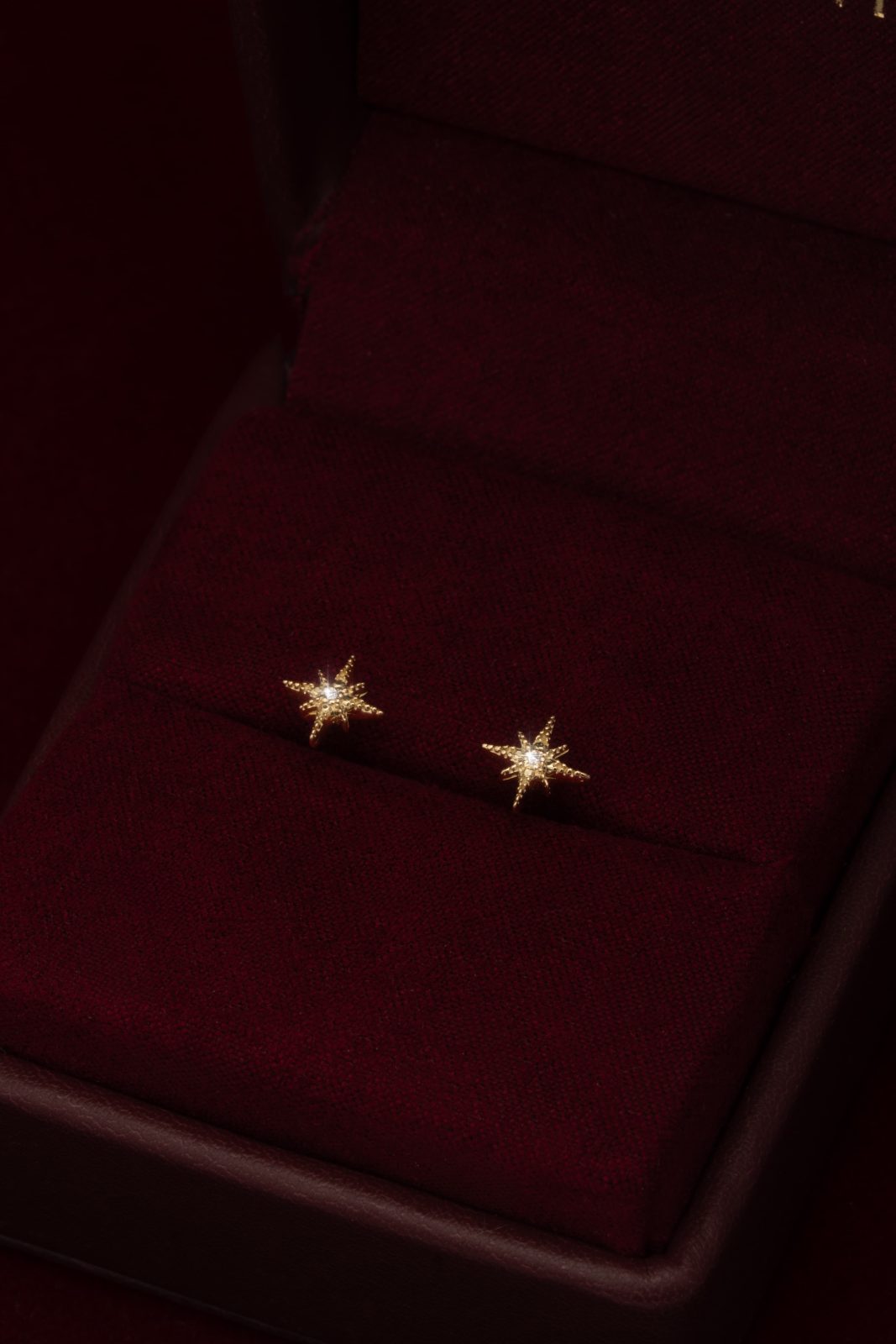 Aretes Estrella del Norte con Diamante Central en Oro Amarillo